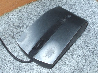 mouse_01.jpg