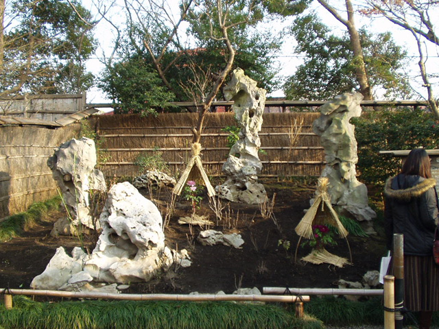 rock_0002.jpg 204KB
