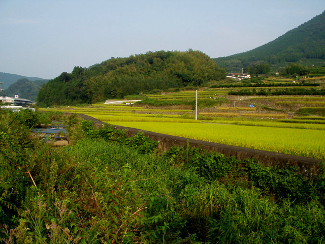 tanada_miyazaki_4.jpg 179KB