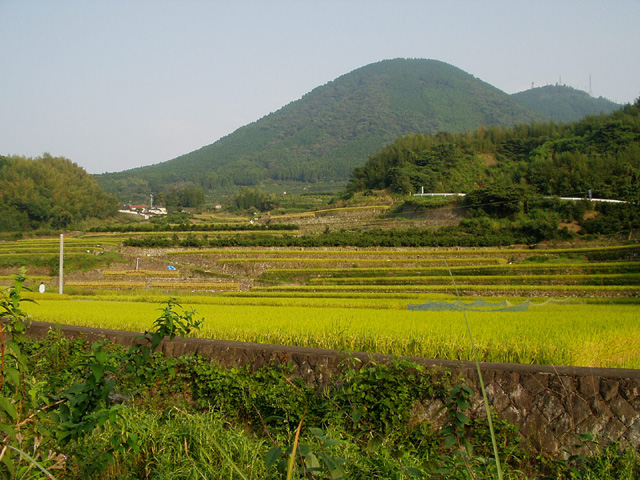 tanada_miyazaki_5.jpg 169KB