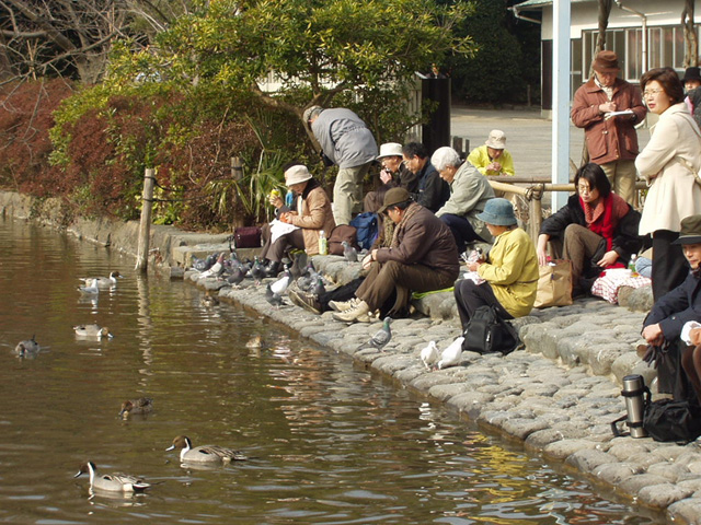 tsuruokahachiman_pond.jpg 185KB