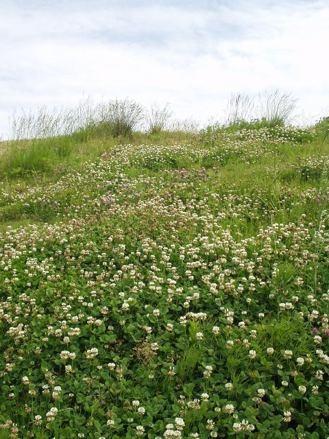 bank_050529.jpg 115KB