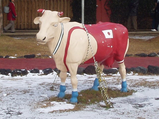 cow-doll_050101_1.jpg 73KB