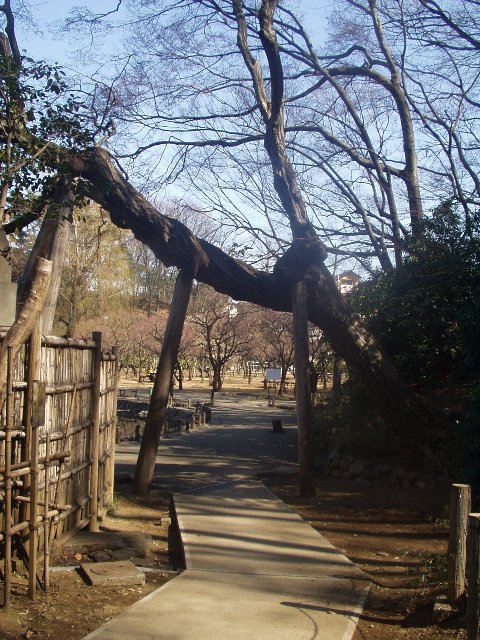 gate_050213.jpg 117KB