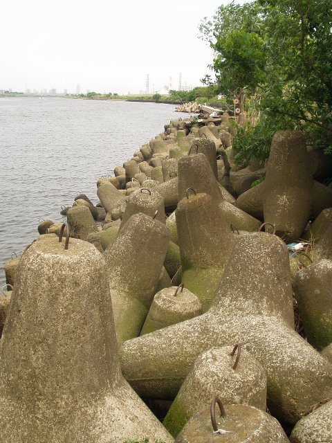 river_050529.jpg 95KB