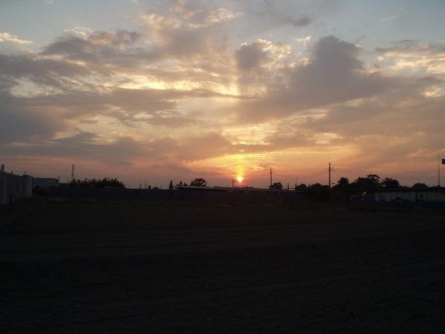 sunset_toda.jpg 77KB