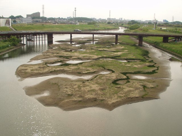 tideland_050529.jpg 68KB