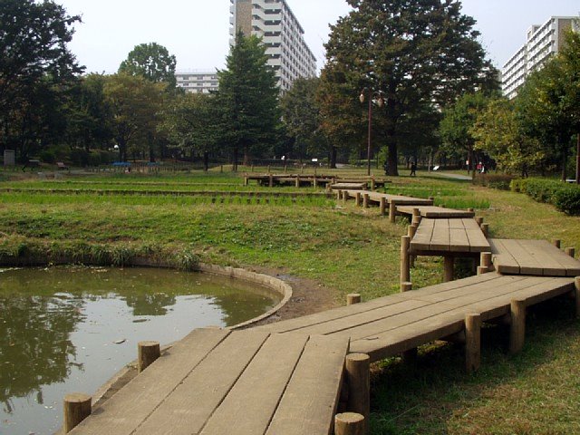 練馬区立　秋の陽公園