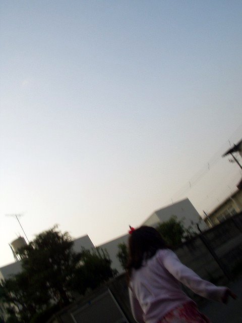 dusk.jpg 31KB
