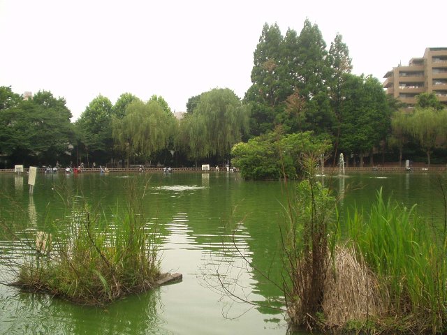 park_mitsugi.jpg 74KB