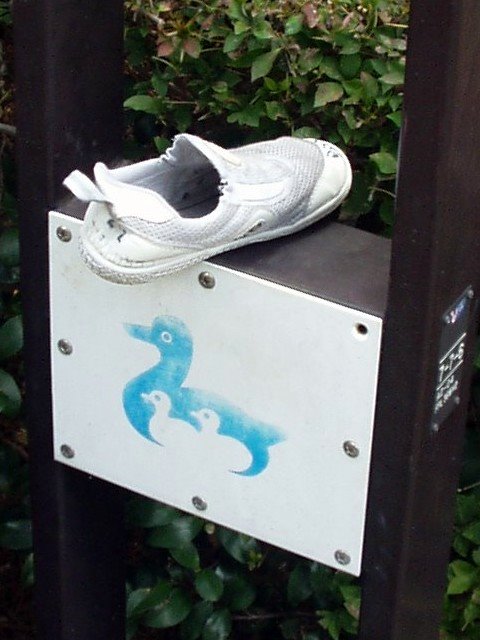 shoe.jpg 58KB