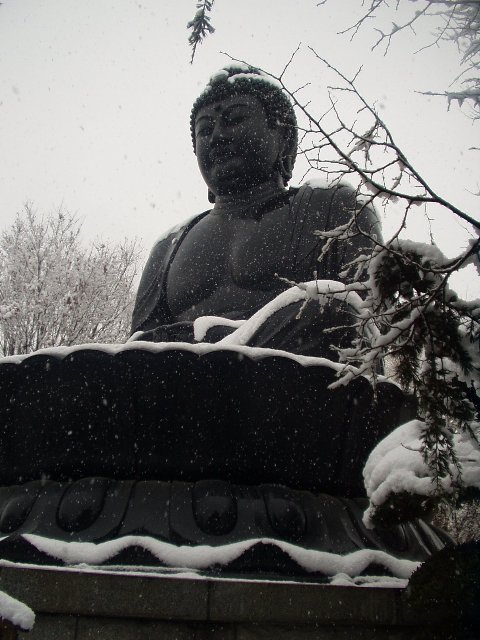 snowday_daibutsu.jpg 73KB