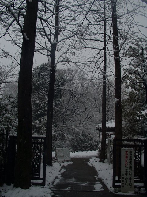 snowday_gate.jpg 89KB