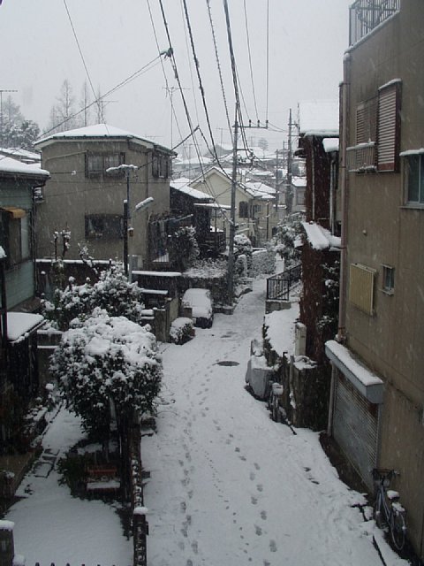 snowday_itabashi_3.jpg 71KB