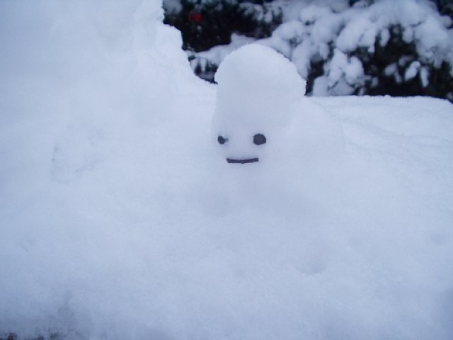 snowman_01.jpg 27KB