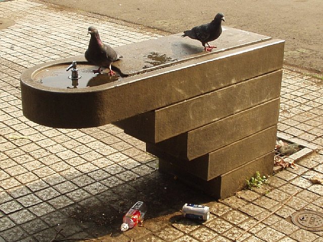 waterwork-1.jpg 109KB