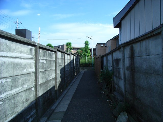alley.jpg 59KB