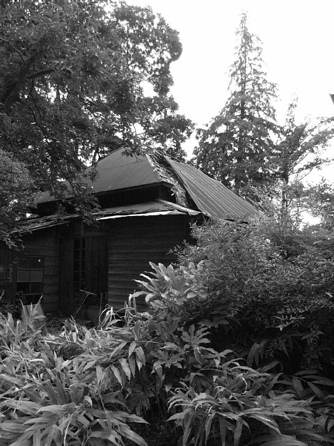 deserted-house-1.jpg 103KB
