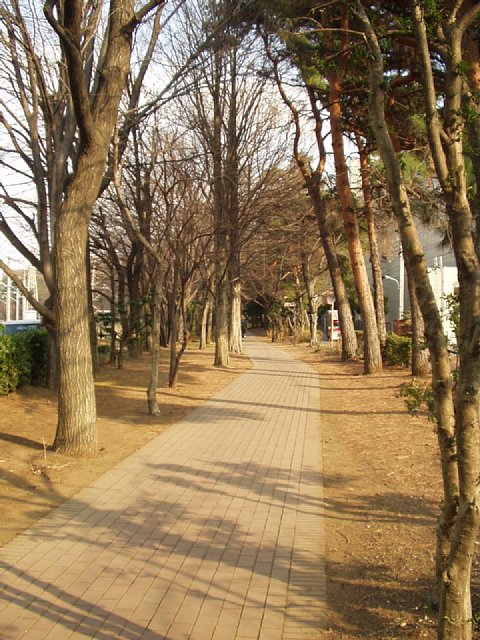 nobidome_road.JPG 106KB
