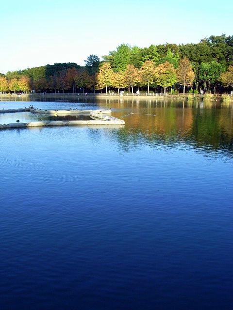 ukima-park_01.jpg 56KB