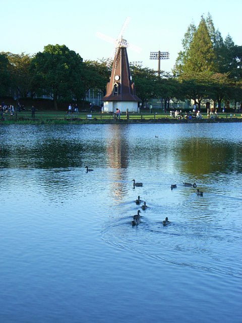 windmill_01.jpg 75KB
