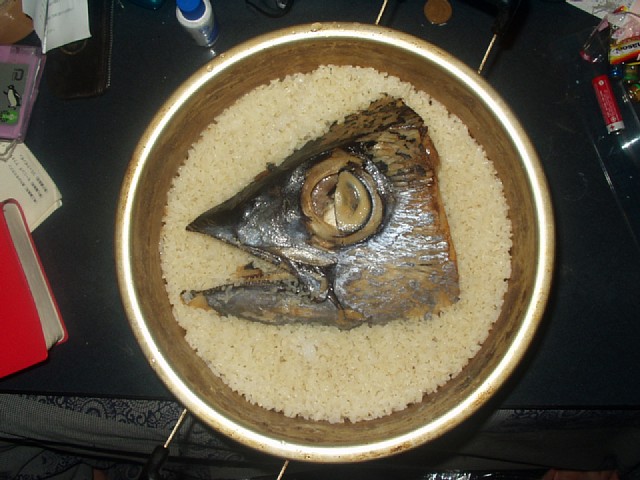 maguro_070106.jpg 84KB