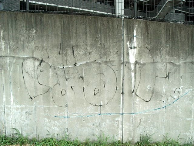 mr-2.jpg 76KB