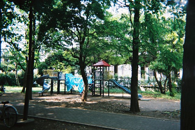 park.jpg 112KB