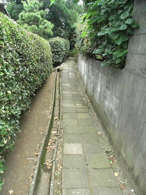 path.jpg 110KB