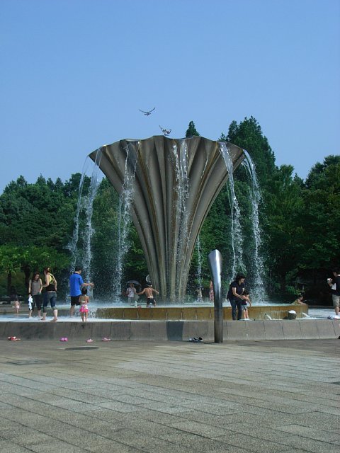 rimg0052.jpg 65KB