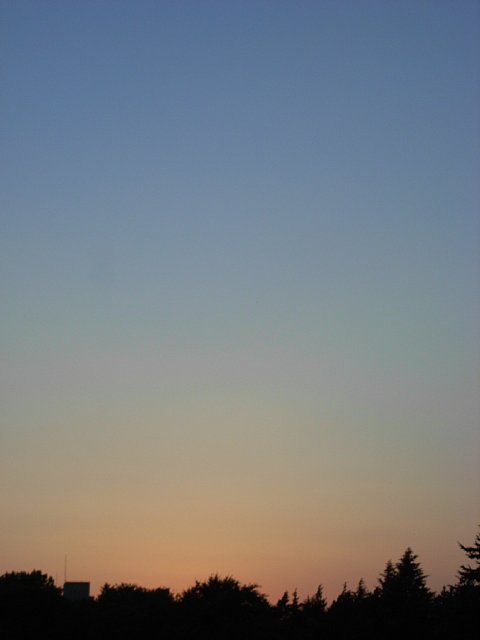 rimg0914.jpg 16KB