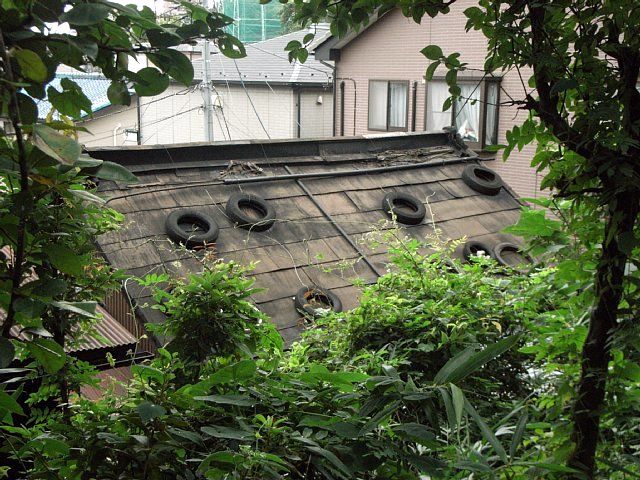 roof.jpg 112KB