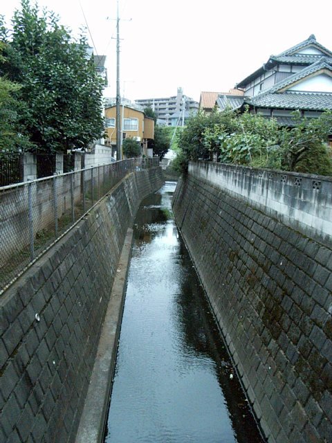 shirakogawa.jpg 86KB