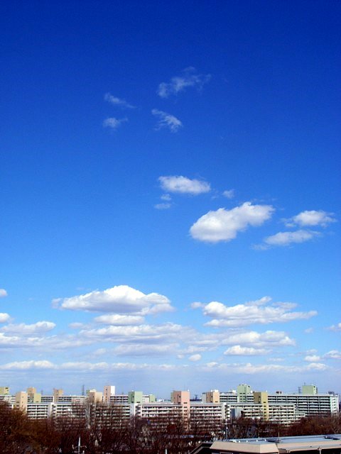 sky_20070321.jpg 44KB