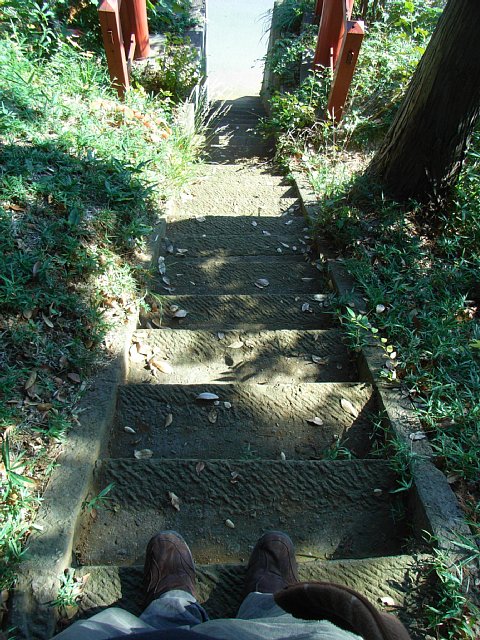 stairs_02.jpg 129KB
