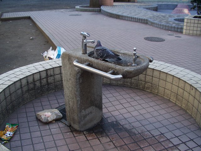 water-fountain_hourin-park.jpg 72KB