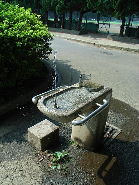 waterwork_1.jpg 100KB