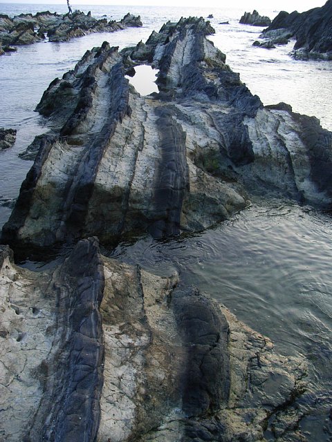  荒崎海岸波食岩群 