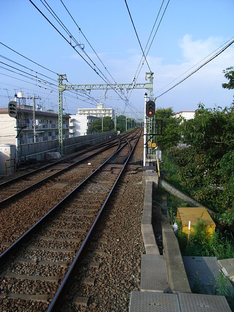 miurakaigan_02.JPG 105KB