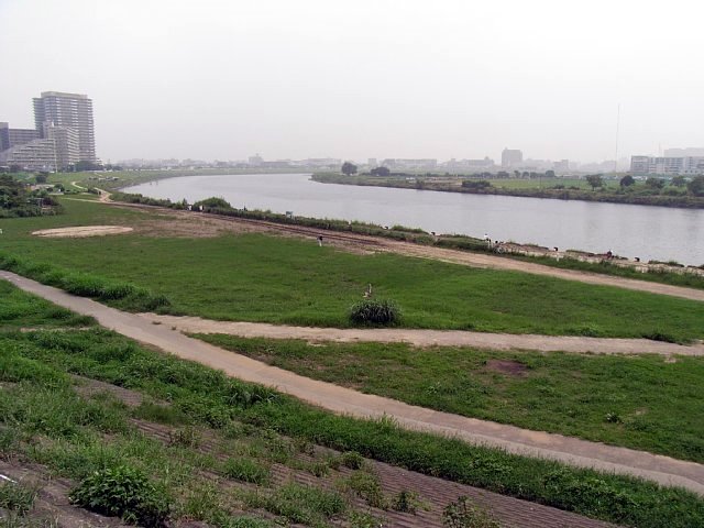  多摩川 