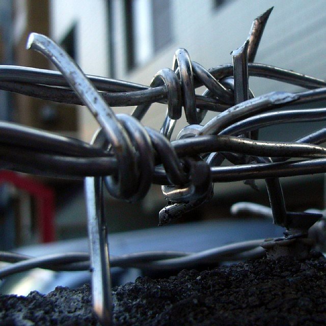barbedwire_01.jpg 84KB