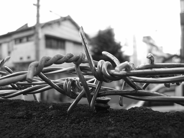 barbedwire_02.jpg 106KB