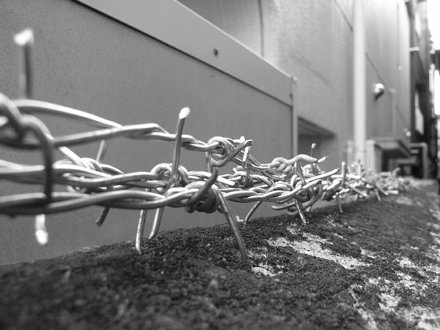 barbedwire_03.jpg 140KB