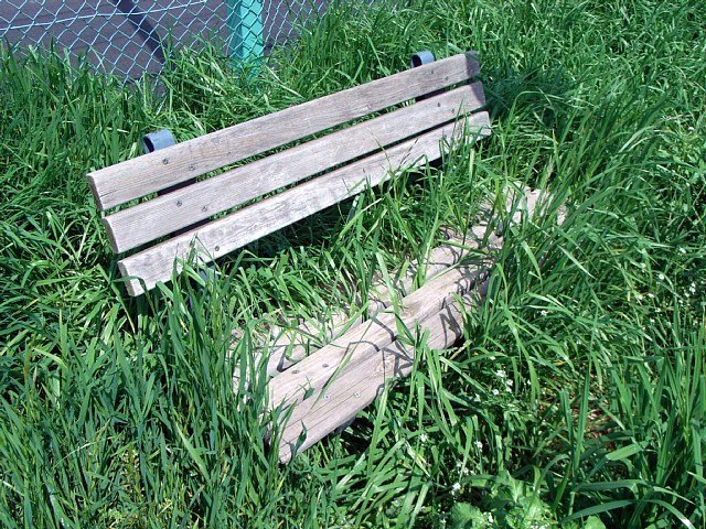 grass.jpg 166KB