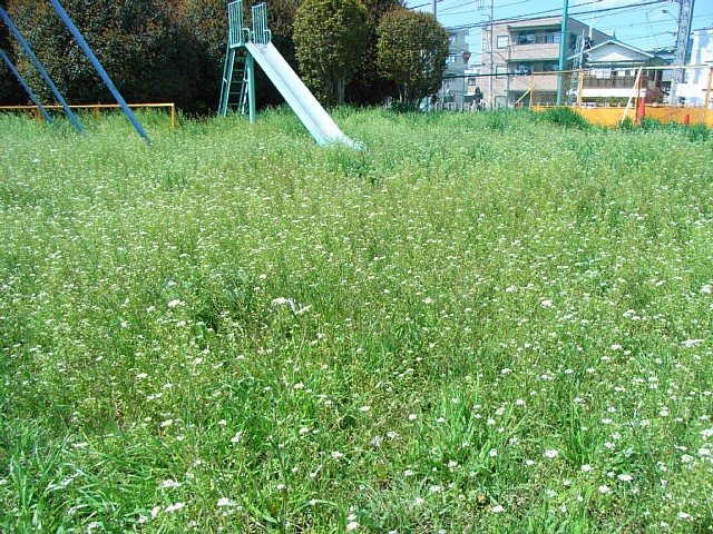 nazuna_02.jpg 230KB