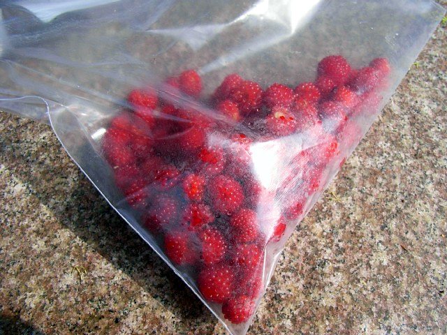 wildberry_05.jpg 111KB