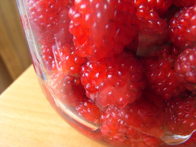 wildberry_11.jpg 79KB