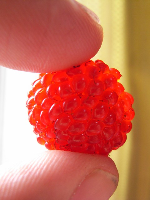 wildberry_13.jpg 54KB