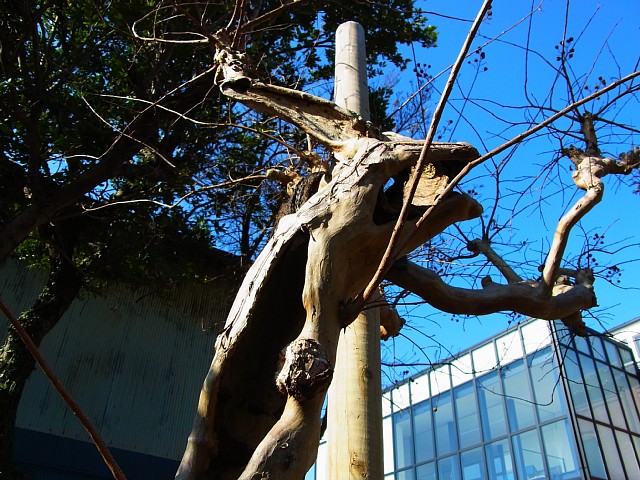 kisei_027.jpg 199KB