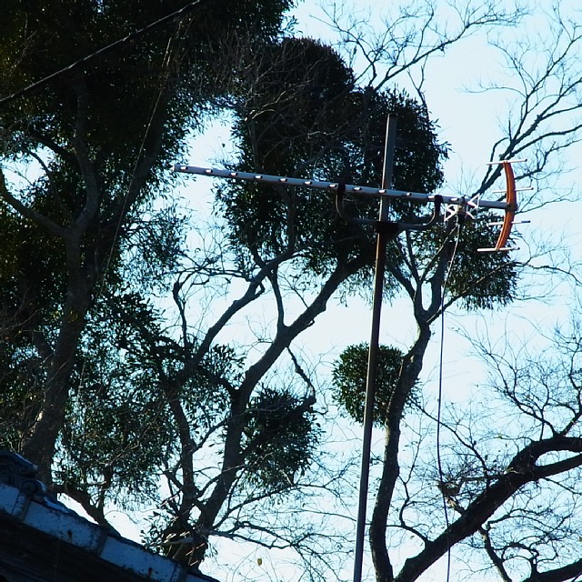 kisei_030.jpg 221KB